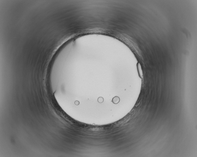 X0000111430156200908241129