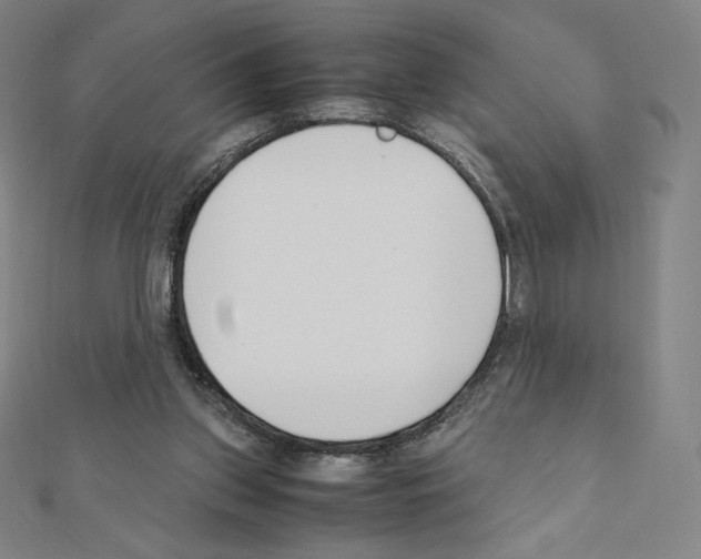 X0000111430157200908241129