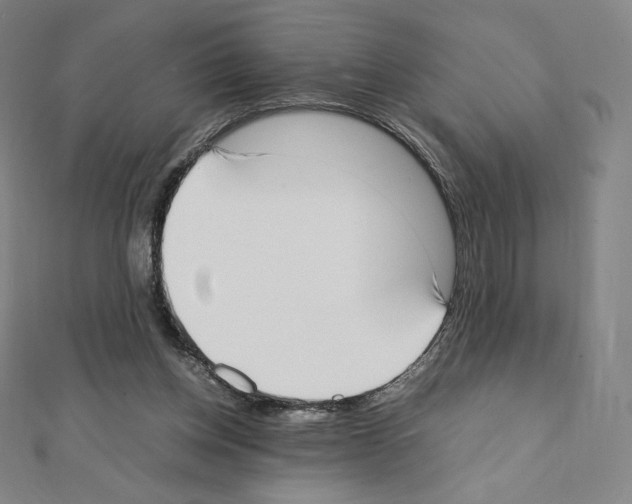 X0000111430158200908241129
