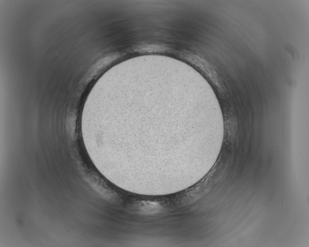 X0000111430159200908241129