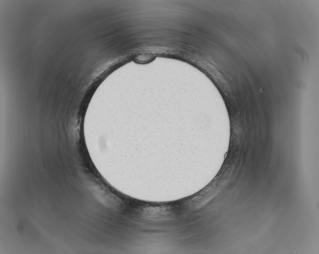 X0000111430160200908241129