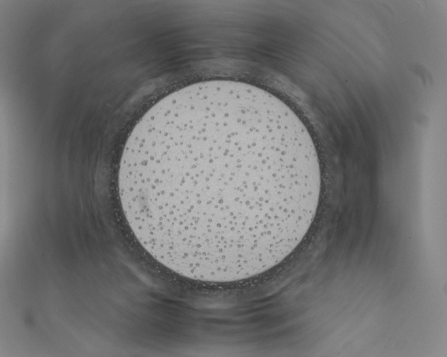 X0000111430161200908241129