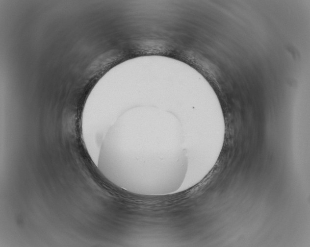 X0000111430162200908241129