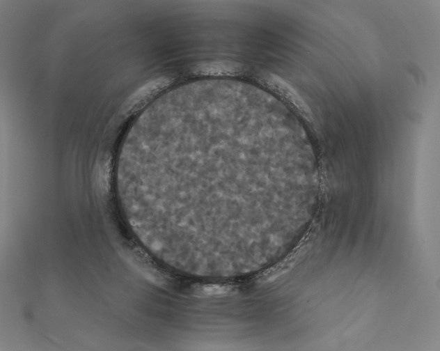 X0000111430163200908241129