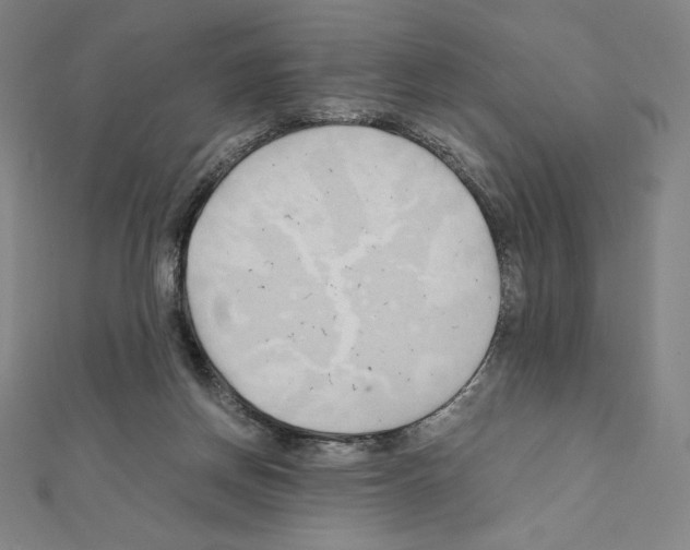 X0000111430166200908241129