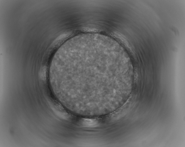X0000111430167200908241129