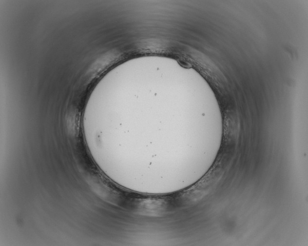 X0000111430168200908241129