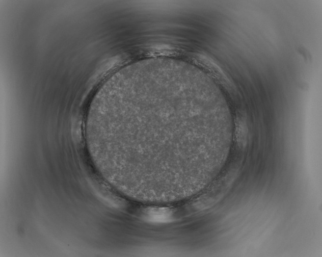 X0000111430169200908241129