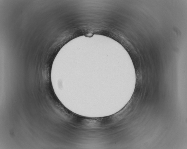 X0000111430170200908241129