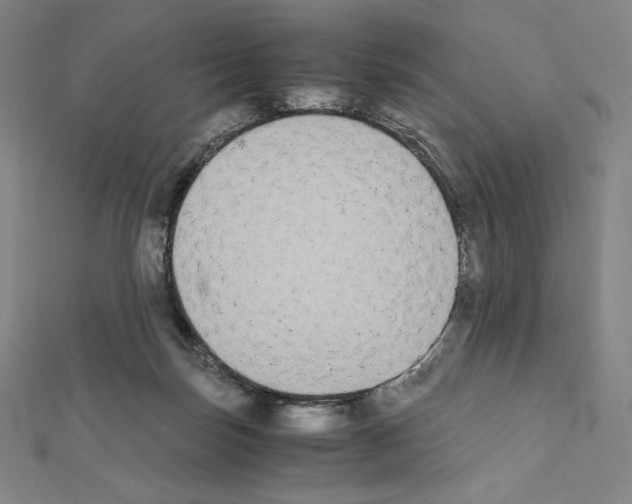 X0000111430171200908241129