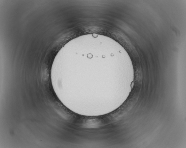 X0000111430173200908241129