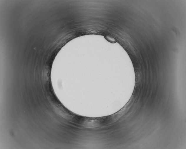 X0000111430174200908241129