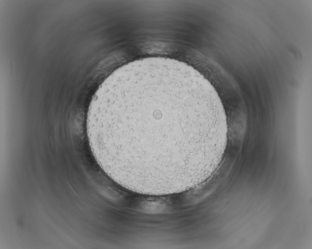 X0000111430175200908241129