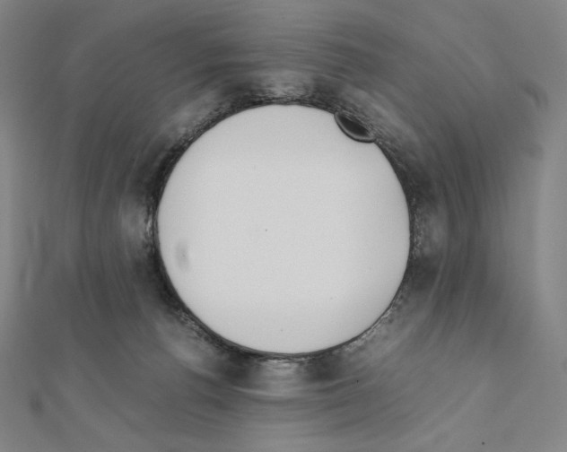 X0000111430176200908241129