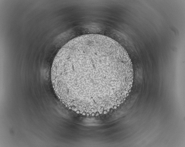 X0000111430177200908241129