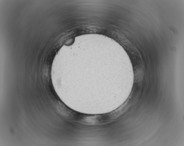 X0000111430178200908241129