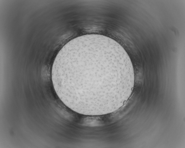 X0000111430179200908241129
