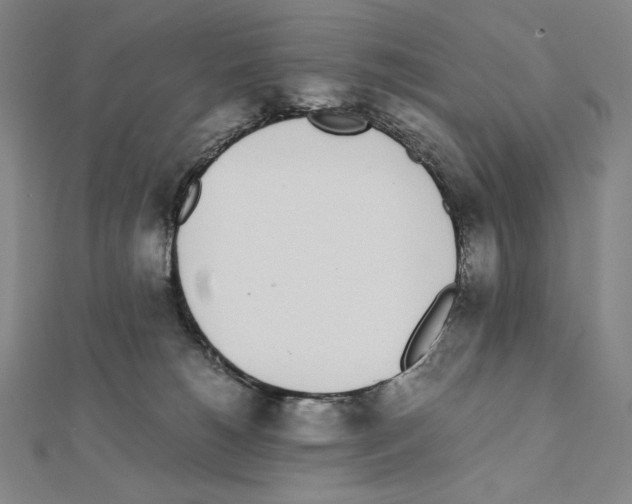 X0000111430180200908241129
