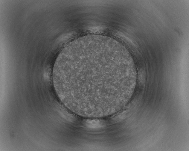X0000111430181200908241129