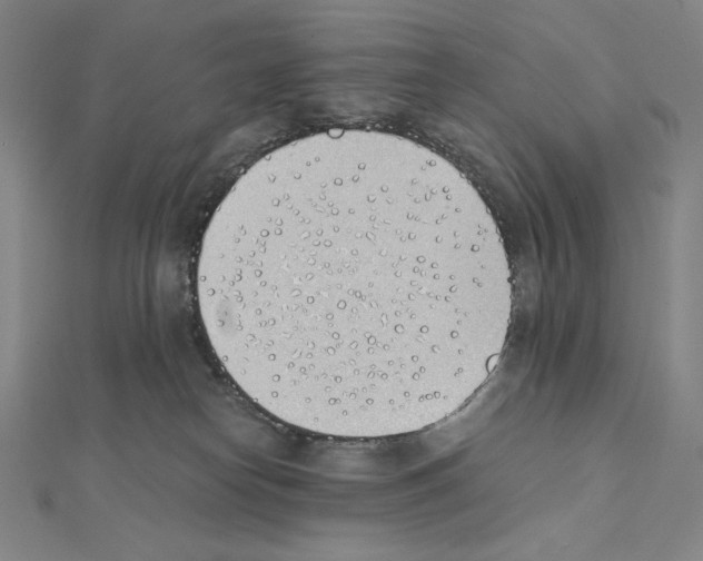 X0000111430182200908241129