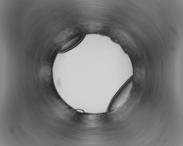 X0000111430184200908241129