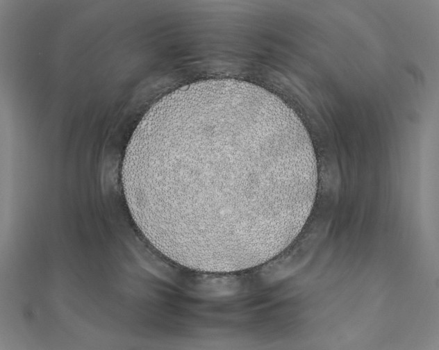 X0000111430185200908241130