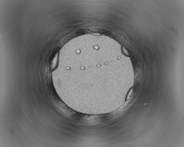 X0000111430186200908241130