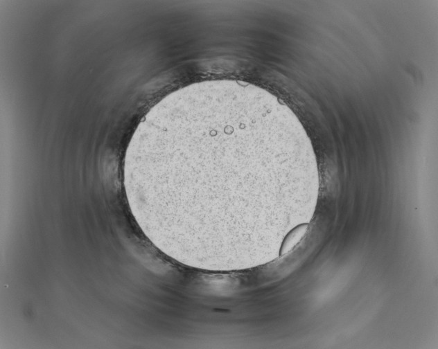 X0000111430187200908241130