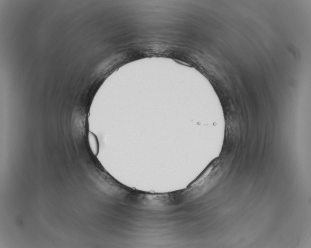 X0000111430188200908241130