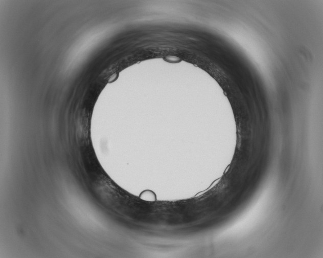 X0000111430190200908241130