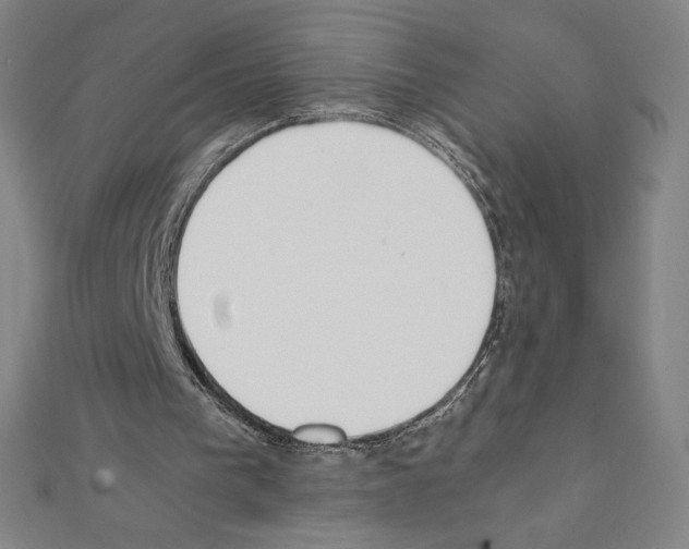 X0000111430193200908241129