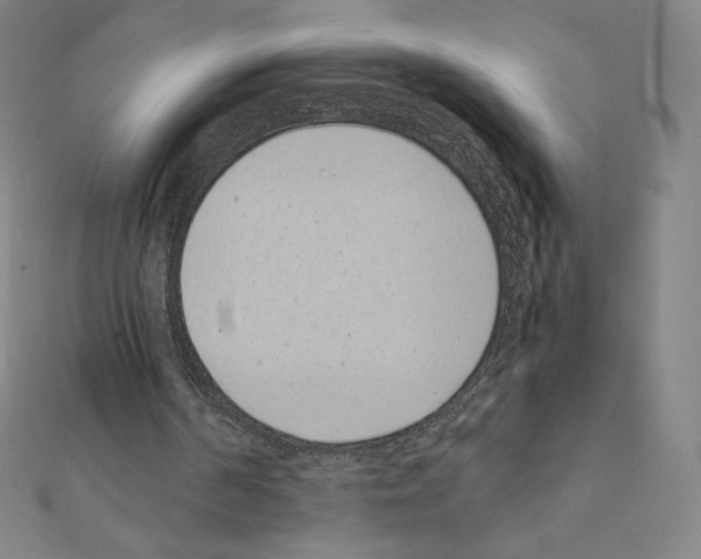 X0000111430194200908241129