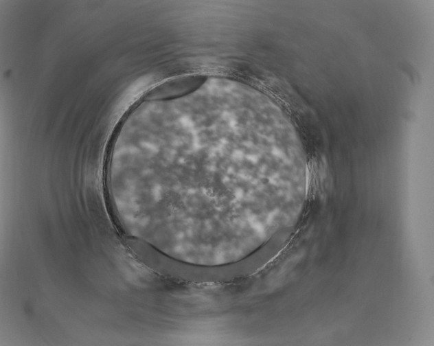 X0000111430195200908241129