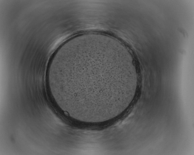 X0000111430196200908241129