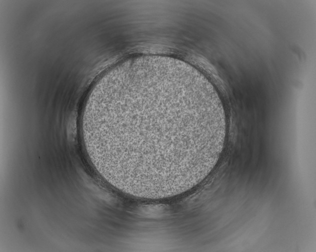 X0000111430202200908241129