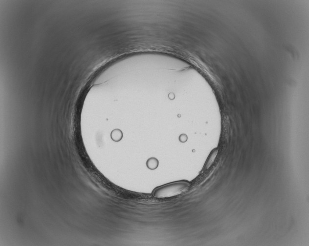 X0000111430203200908241129