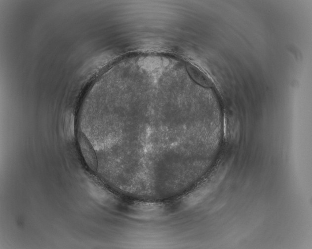 X0000111430205200908241129