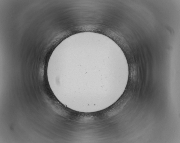 X0000111430206200908241129
