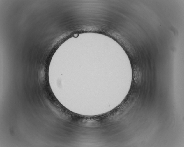 X0000111430208200908241129