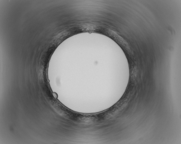 X0000111430209200908241129