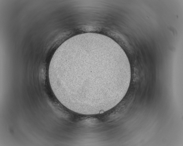X0000111430210200908241129