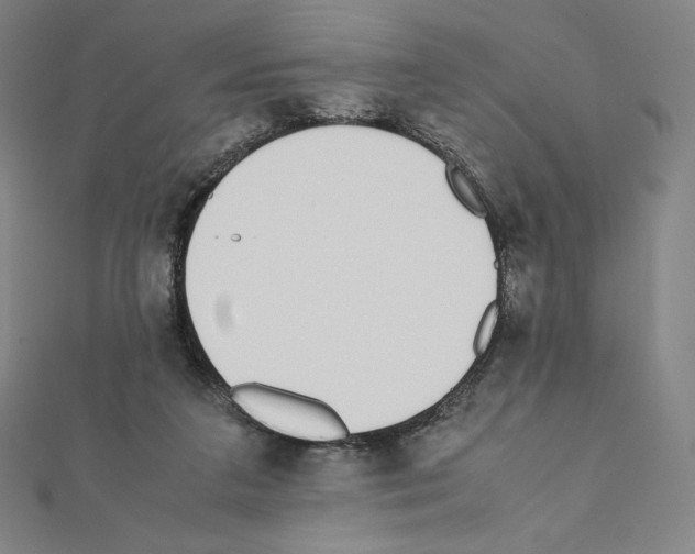 X0000111430211200908241129