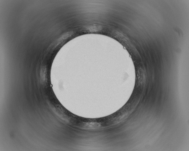 X0000111430212200908241129