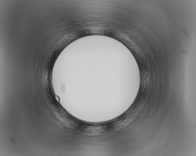 X0000111430213200908241129
