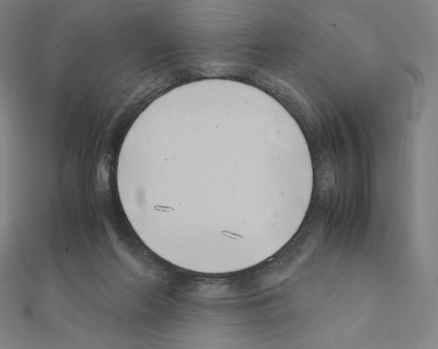X0000111430214200908241129