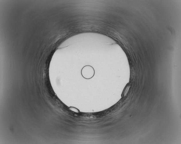 X0000111430215200908241129