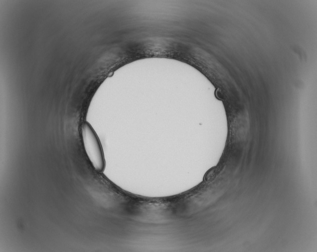 X0000111430217200908241129