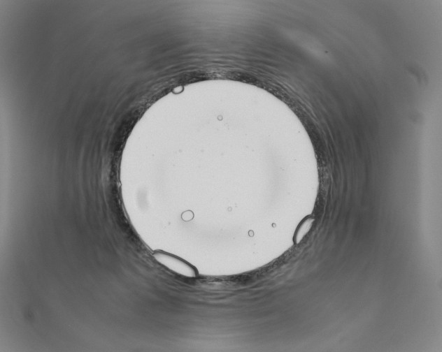 X0000111430221200908241128