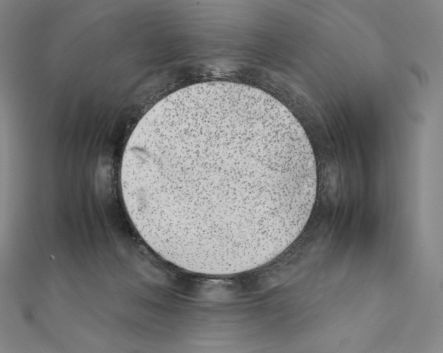 X0000111430222200908241128