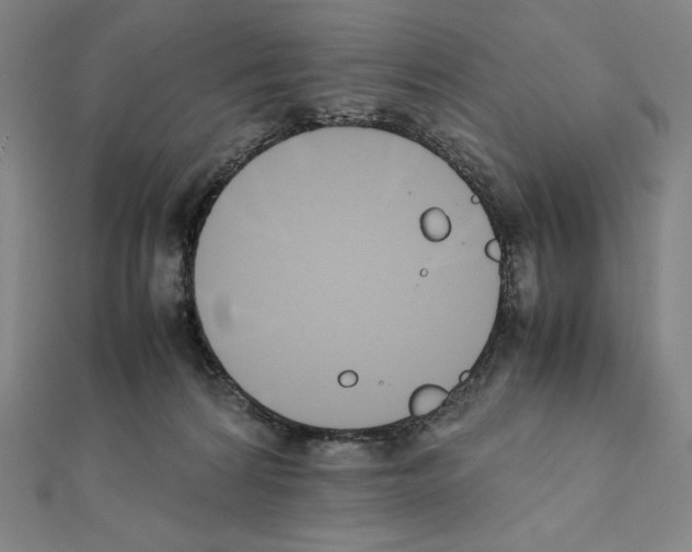 X0000111430224200908241128